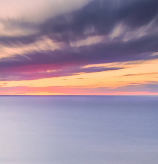 粉象生活下载app