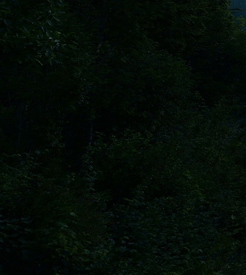 粉象生活上怎么看用户名