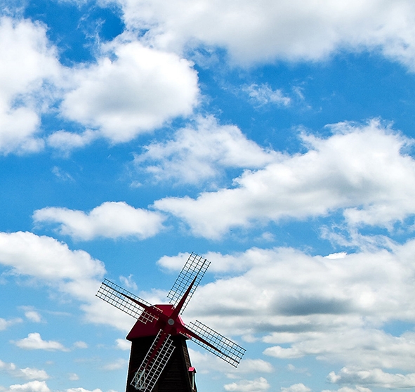 粉象生活下载app