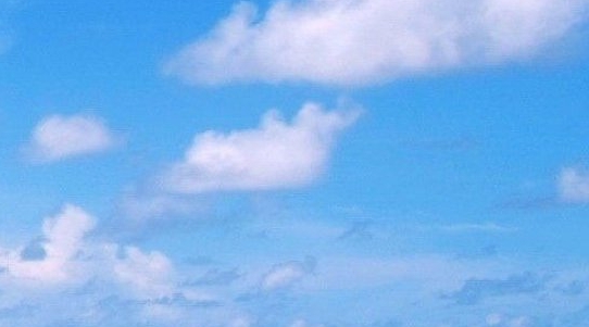 生活方面的培训课程