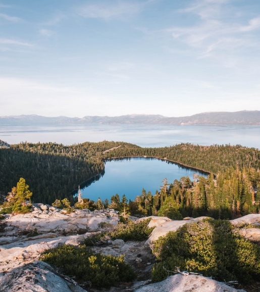粉象生活升级后大概几天才看到收入