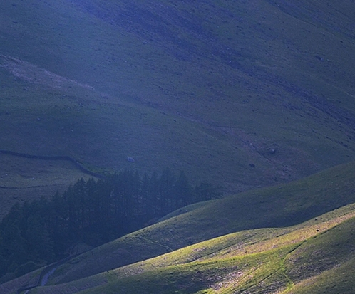 南阳本地生活平台