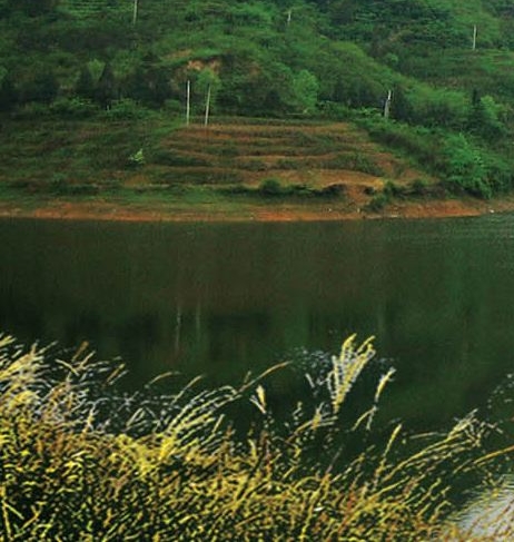 粉象生活卖货技巧