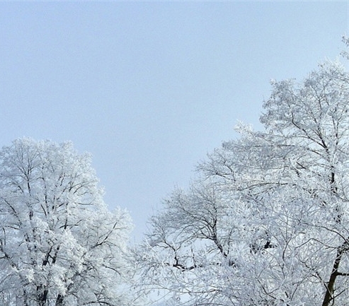 粉象生活加盟费多少钱