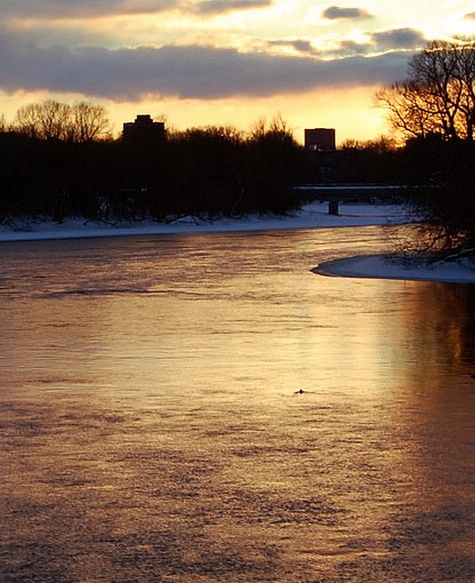 粉象生活怎么关闭自动收货