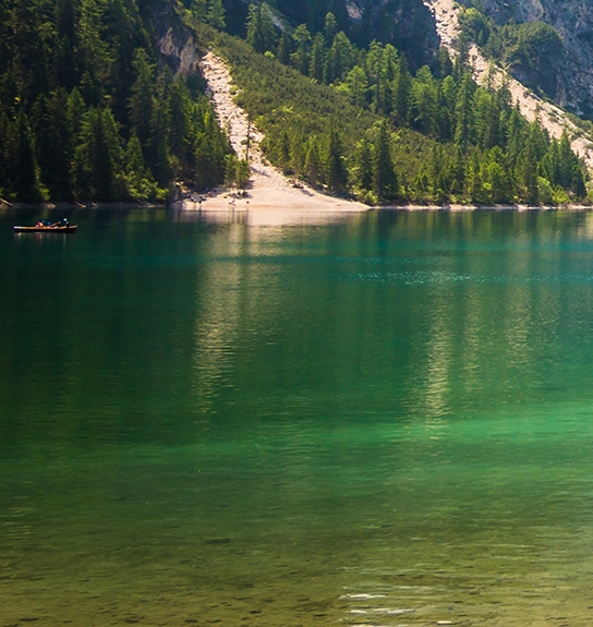 今日粉象生活官网
