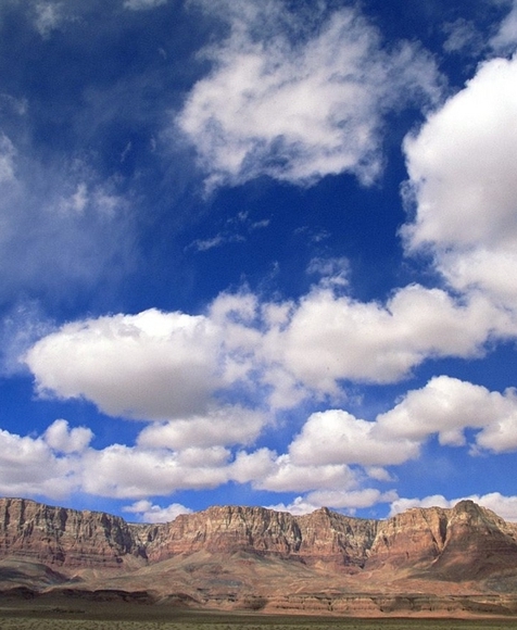 粉象生活日推广50人