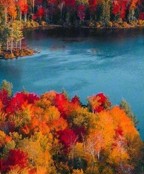 淘宝授权粉象生活怎么取消