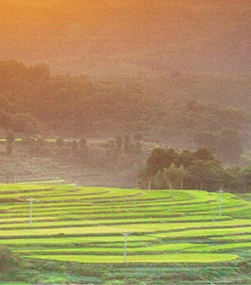 粉象生活京东不返现吗?