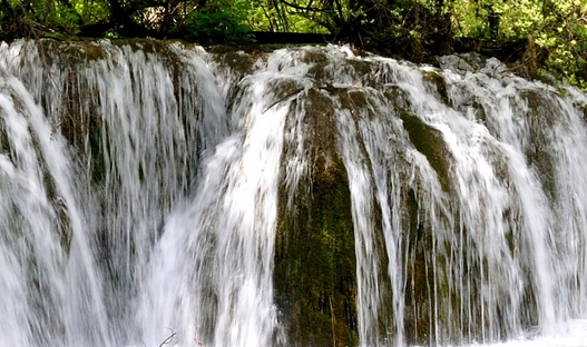 粉象生活创始人是谁