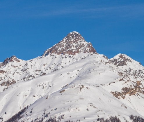 大象生活在哪个国家