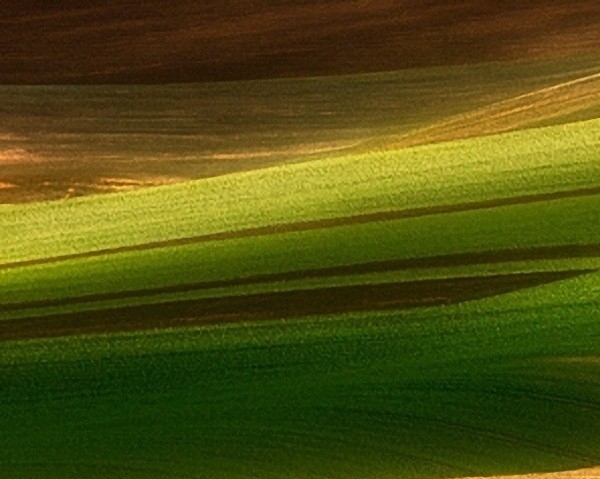 吉林粉象生活代理