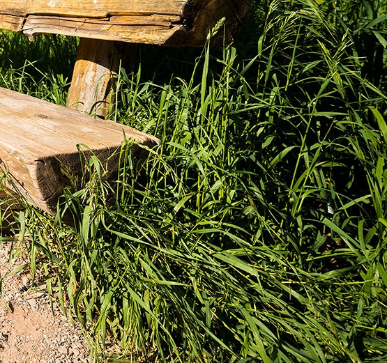 粉象生活怎么快速推广