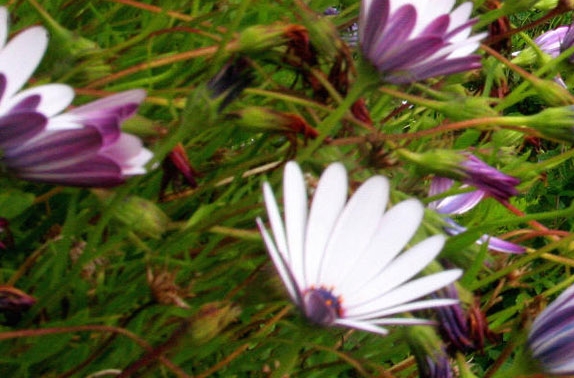 粉象生活为什么要20个合伙人