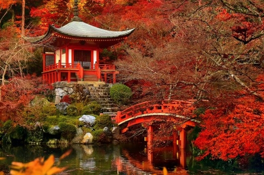 粉象生活邀请码