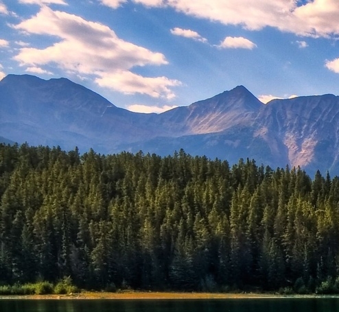 江西加盟粉象生活怎么样