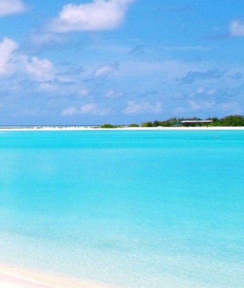 粉象生活是什么软件?能赚钱吗