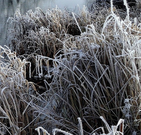 社交电商赚钱吗