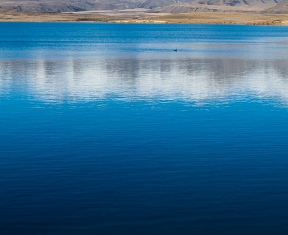 粉象生活可以赚钱吗