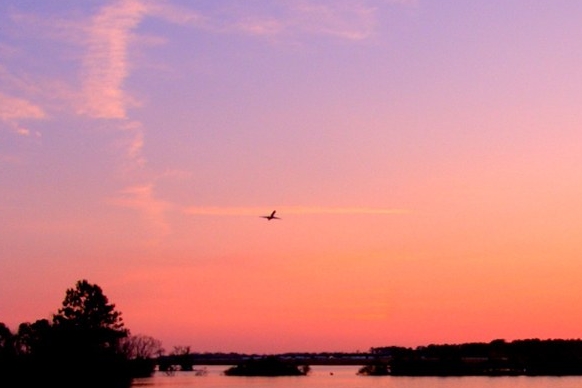 社交电商怎么操作