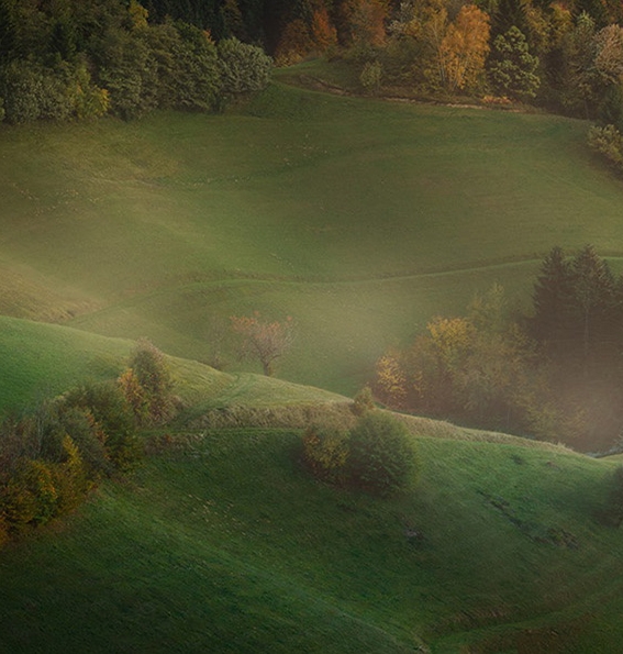 粉象生活能赚钱吗