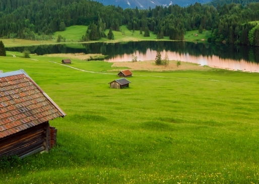 粉象生活怎么养