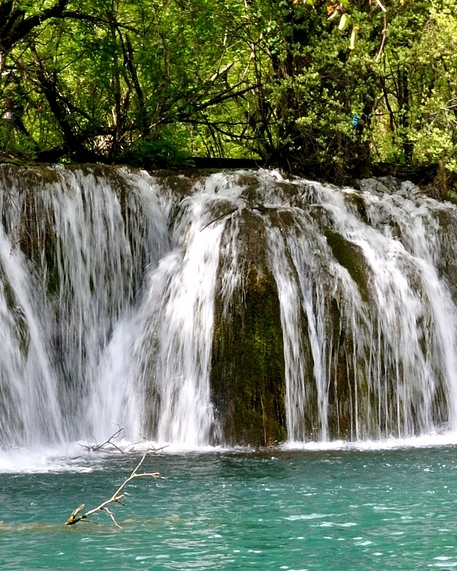 粉象生活怎么开通淘宝