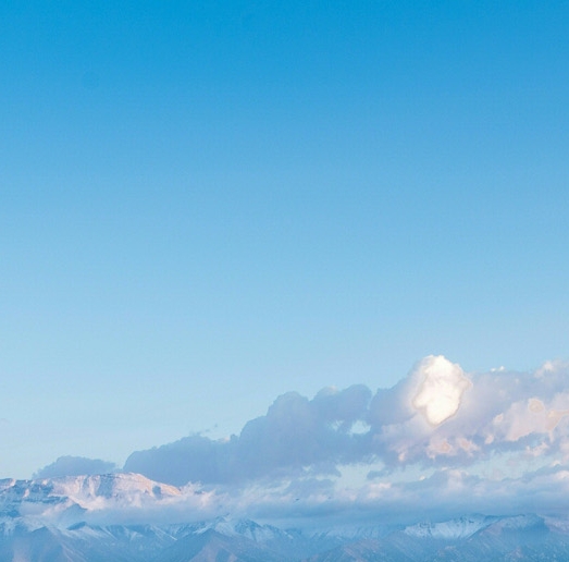 粉象生活可以赚钱吗