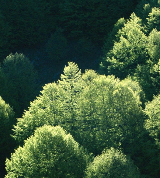 下载粉象生活有风险吗?