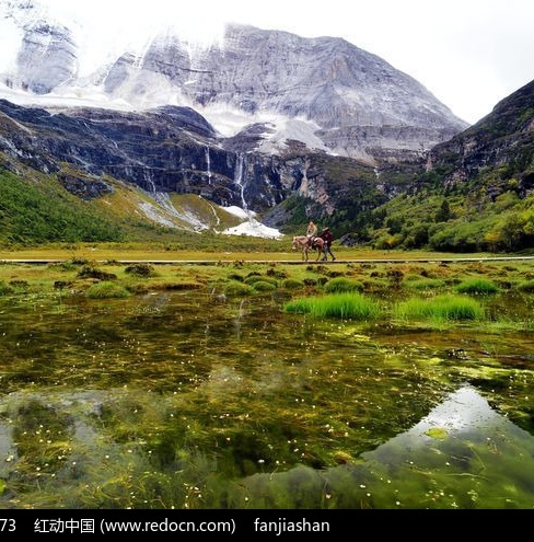粉象生活哪个版本赚钱多