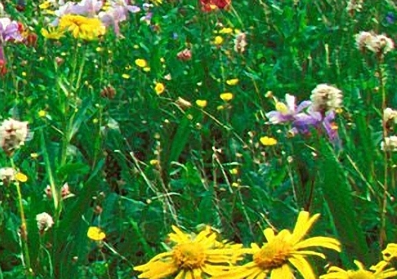 粉象生活邀请码