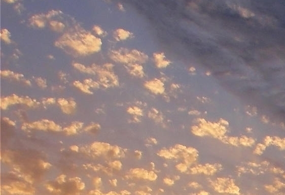 粉象生活可以赚钱吗