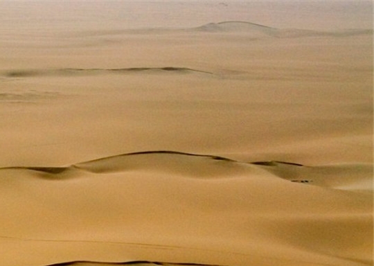 社交电商粉象生活怎么赚钱