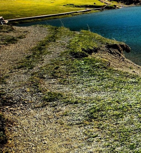 菏泽粉象生活入驻靠谱不