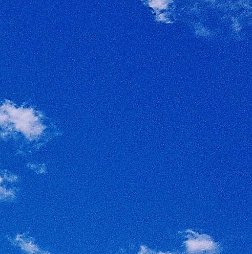 莆田粉象生活拼多多