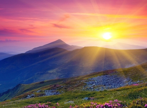 粉象生活可以赚钱吗