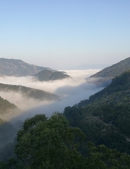 粉象生活怎么赚钱的