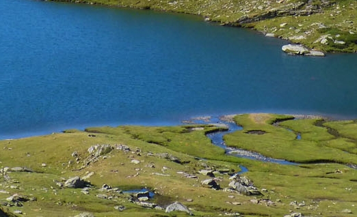 粉象生活赚钱教程