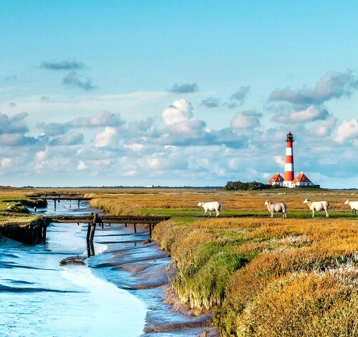 粉象生活商城邀请码