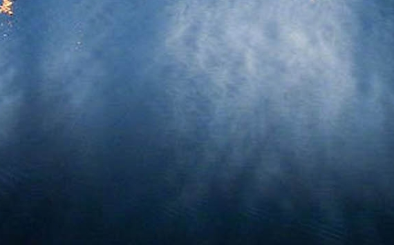 粉象生活的手机号是什么