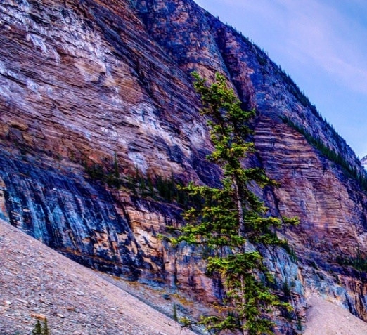 粉象生活邀请码