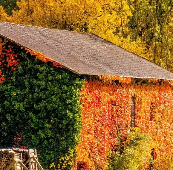 广东正规粉象生活好不好