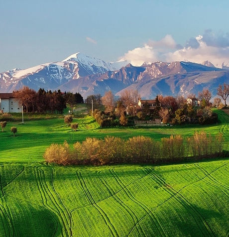 粉象生活如何推广