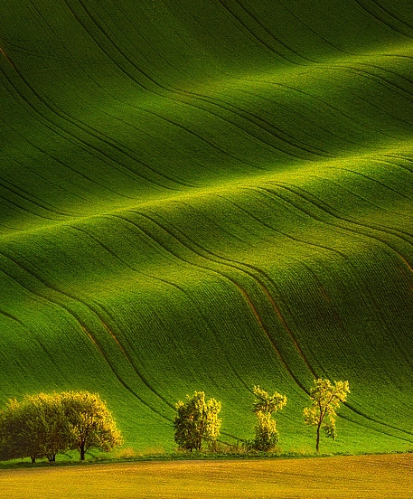 蜜源和粉象生活哪个好