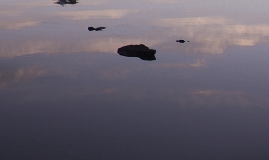 粉象生活赚钱教程
