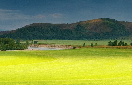 粉象生活好还是每日一淘好