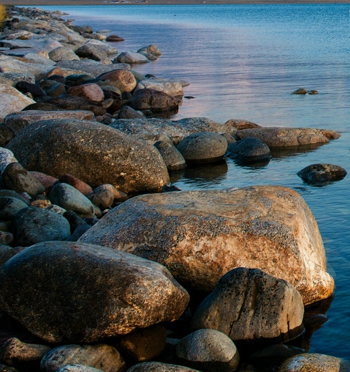 粉象生活赚钱教程
