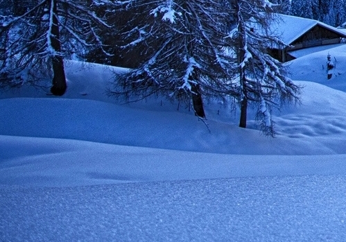 央视报道粉象生活