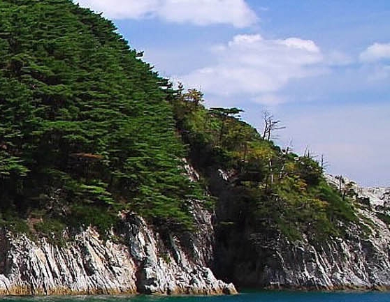 粉象生活怎么注册新号