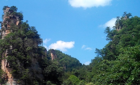 粉象生活恩惠 闪闪